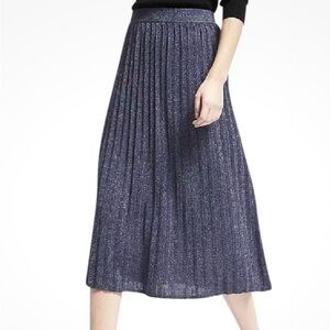 Elegant Pleated Skirt from Banana Republic